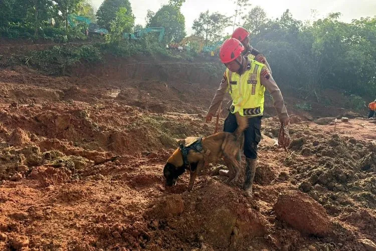 Korban Longsor Banjarnegara