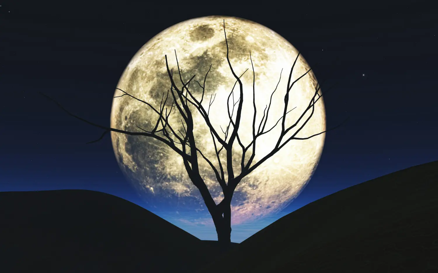 fenomena super moon